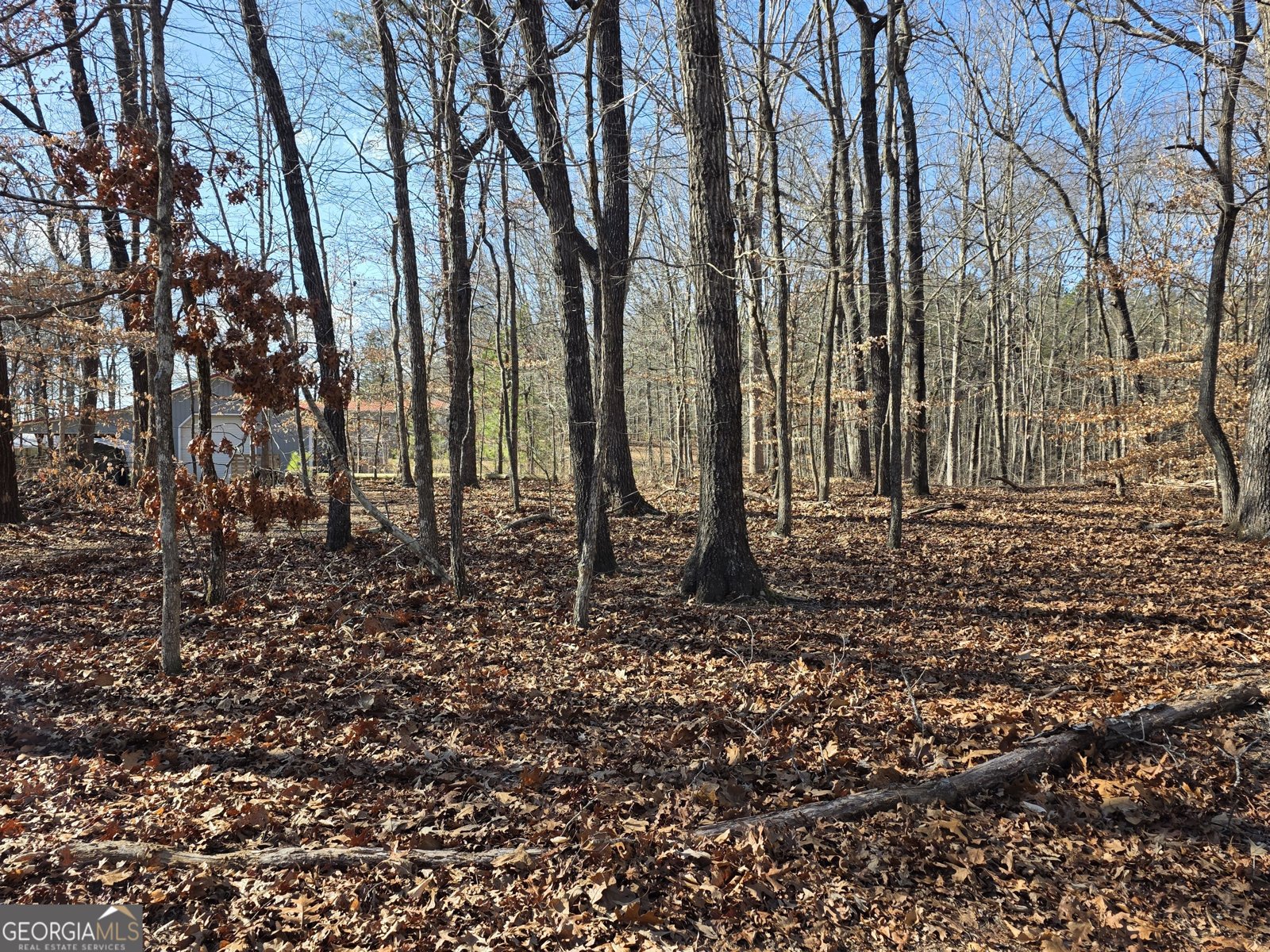 3879 Caney Head Road Franklin - Photo 42