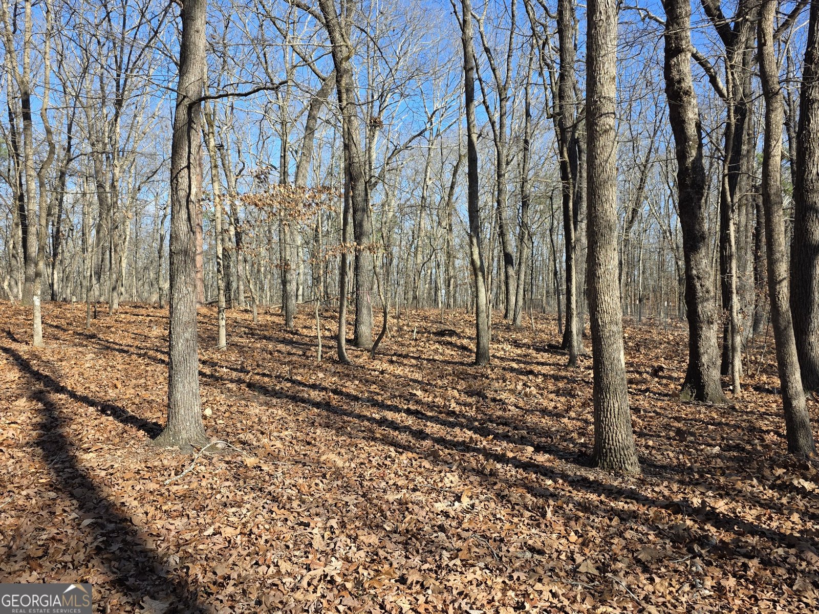 3879 Caney Head Road Franklin - Photo 43