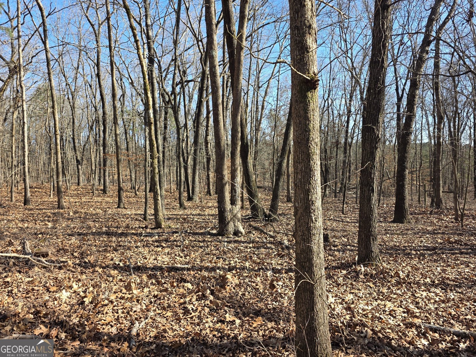 3879 Caney Head Road Franklin - Photo 44