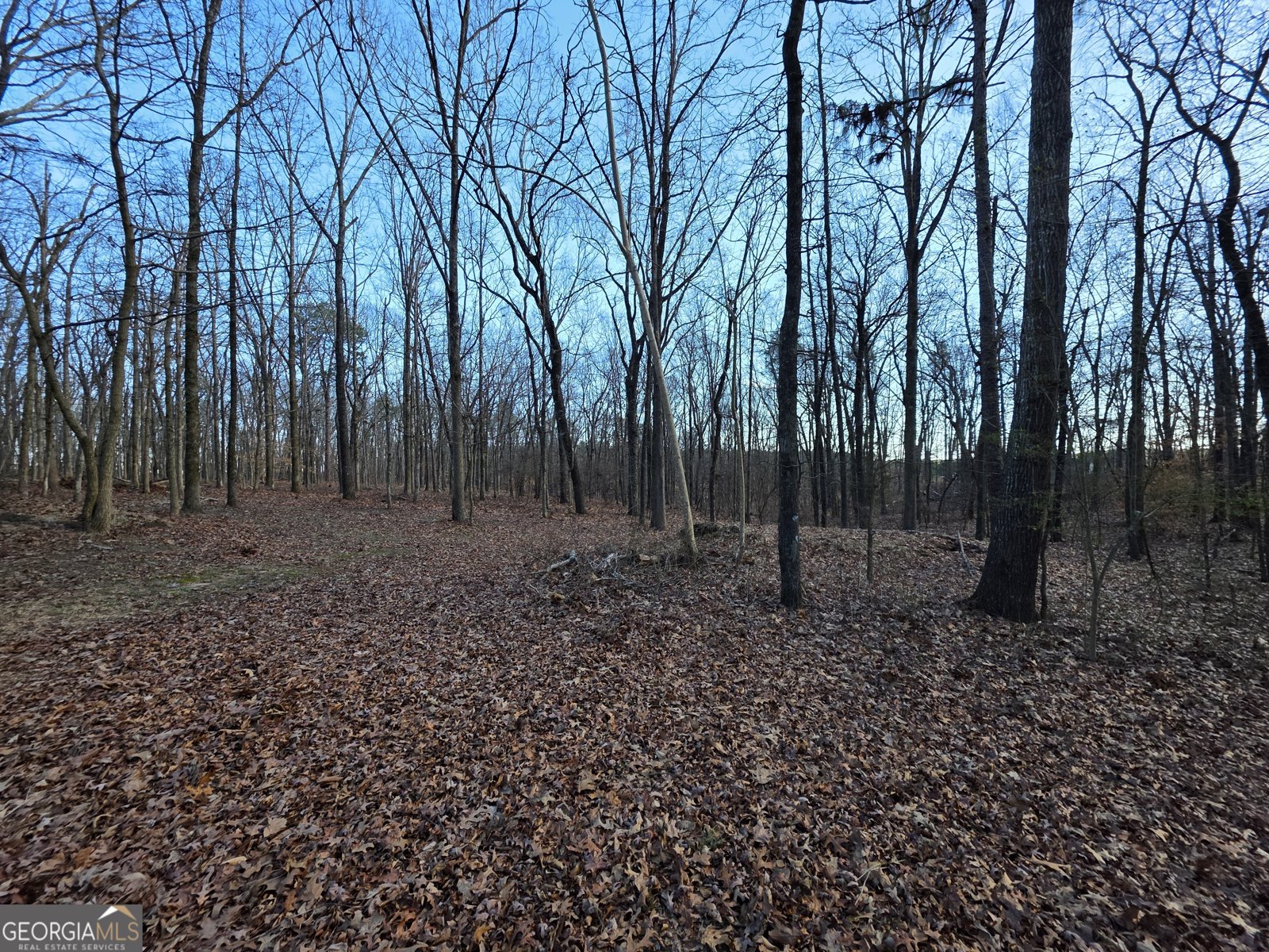 3879 Caney Head Road Franklin - Photo 46