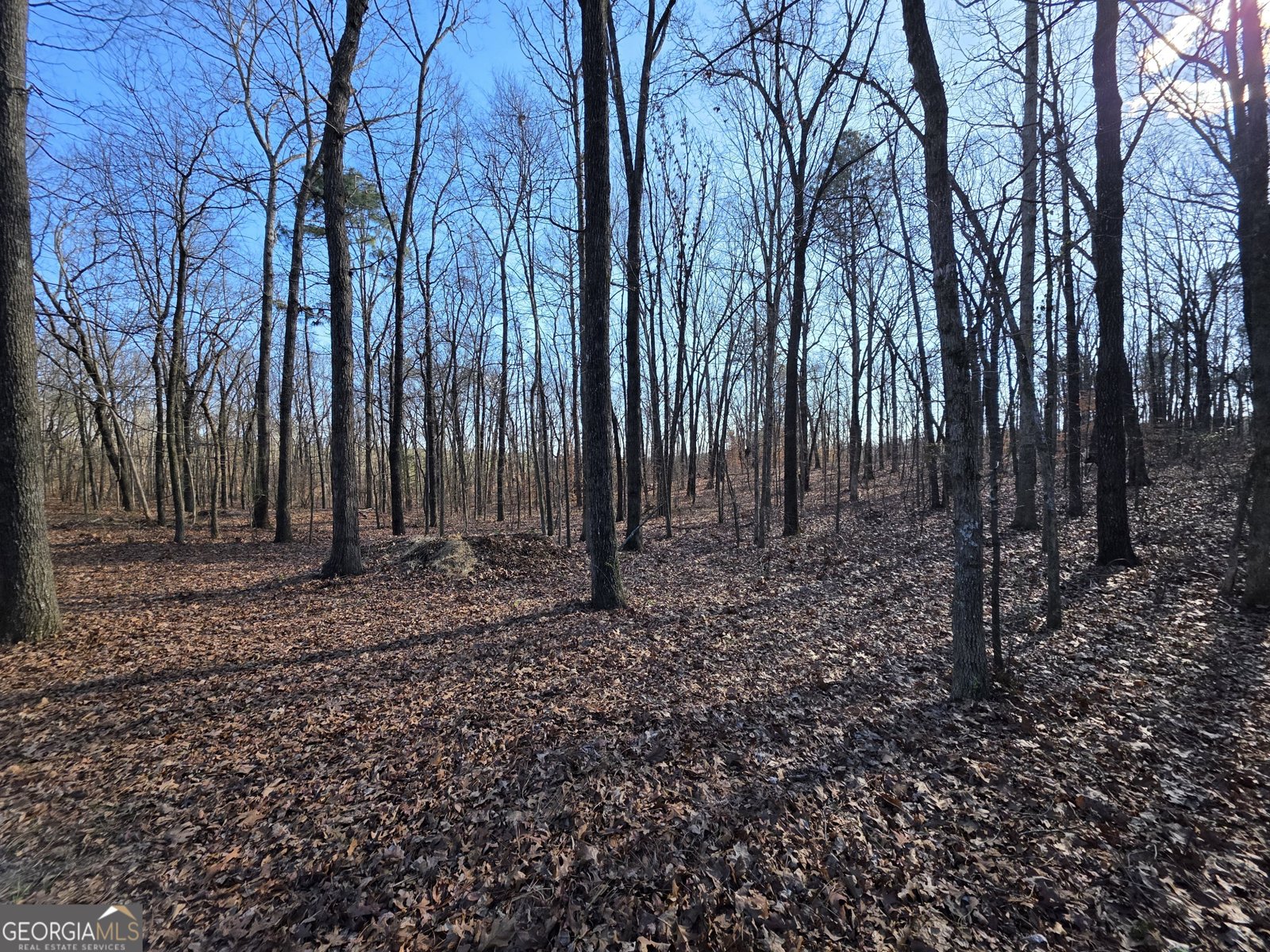 3879 Caney Head Road Franklin - Photo 47