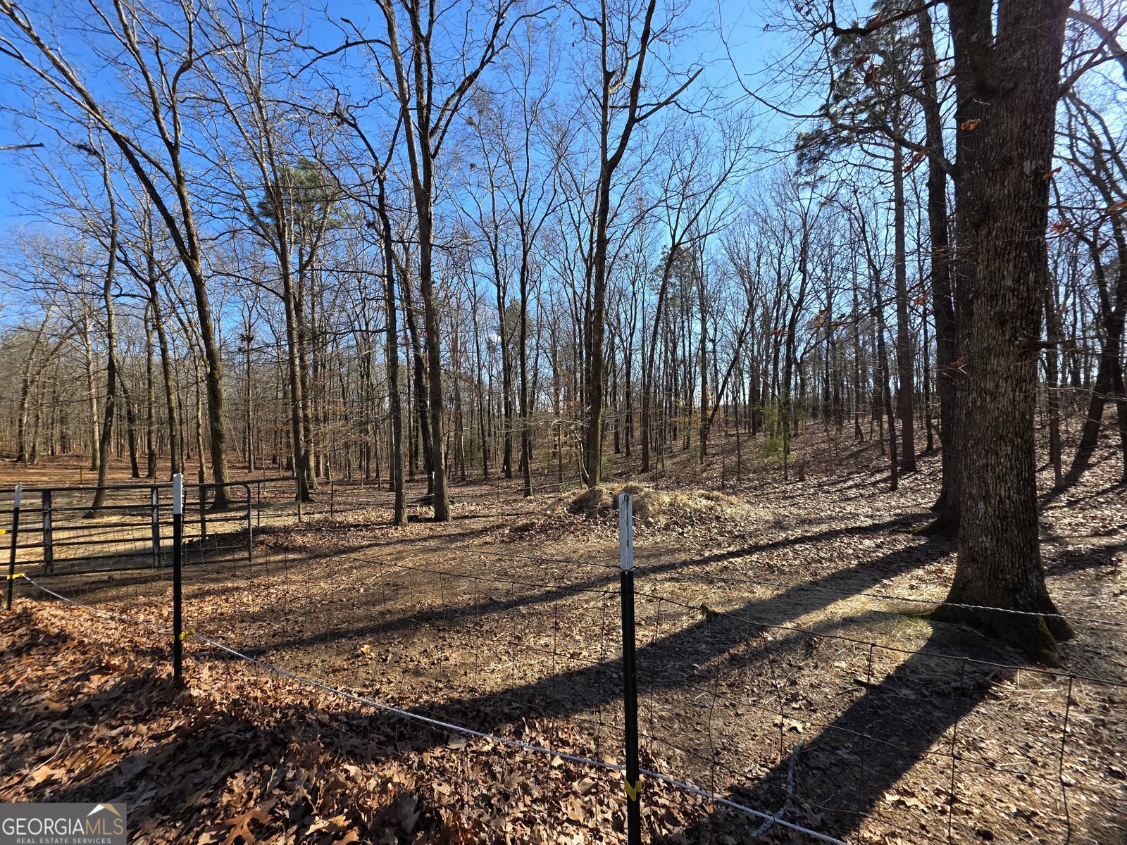 3879 Caney Head Road Franklin - Photo 49