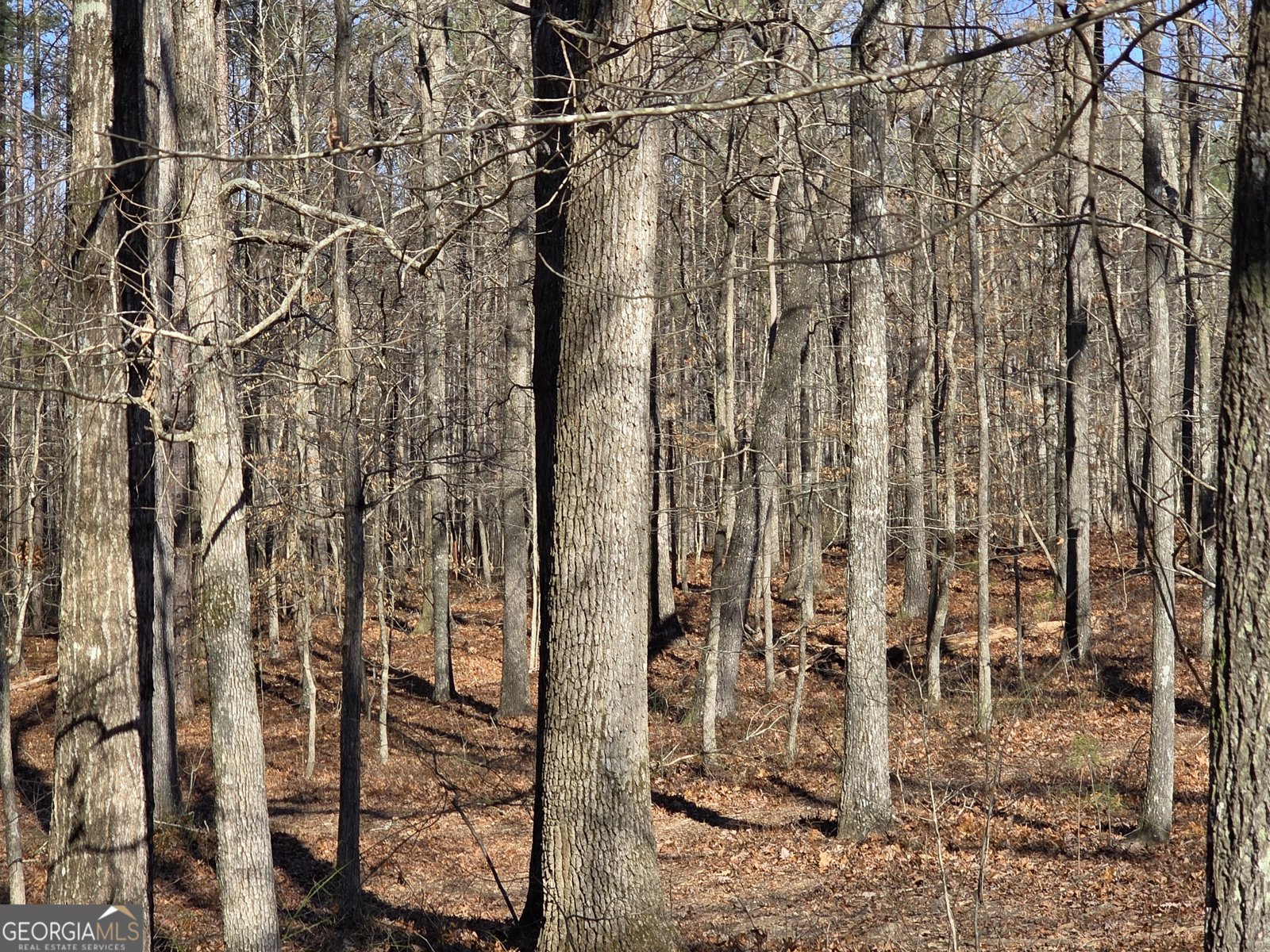 3879 Caney Head Road Franklin - Photo 51