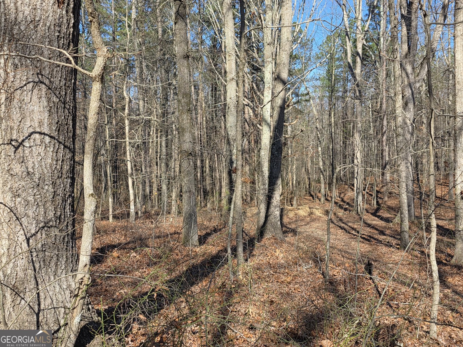 3879 Caney Head Road Franklin - Photo 52