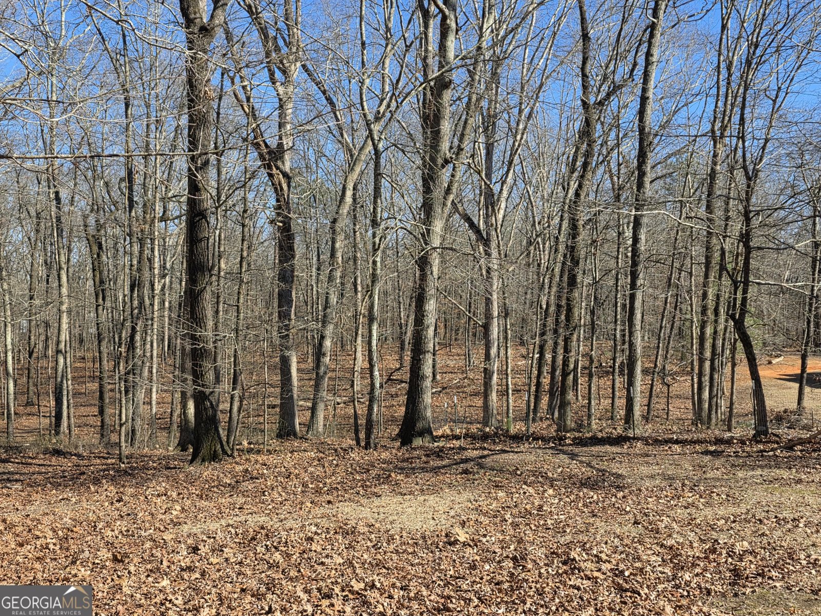 3879 Caney Head Road Franklin - Photo 53