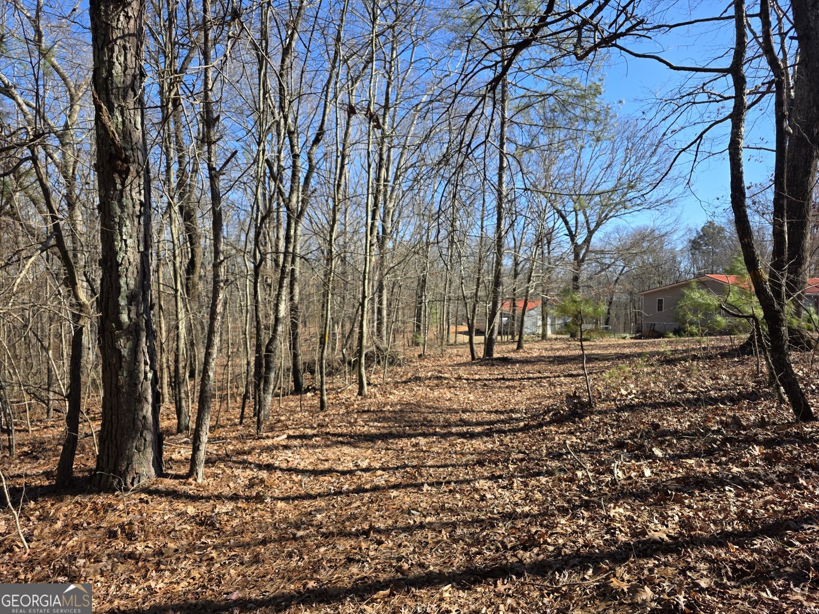 3879 Caney Head Road Franklin - Photo 55