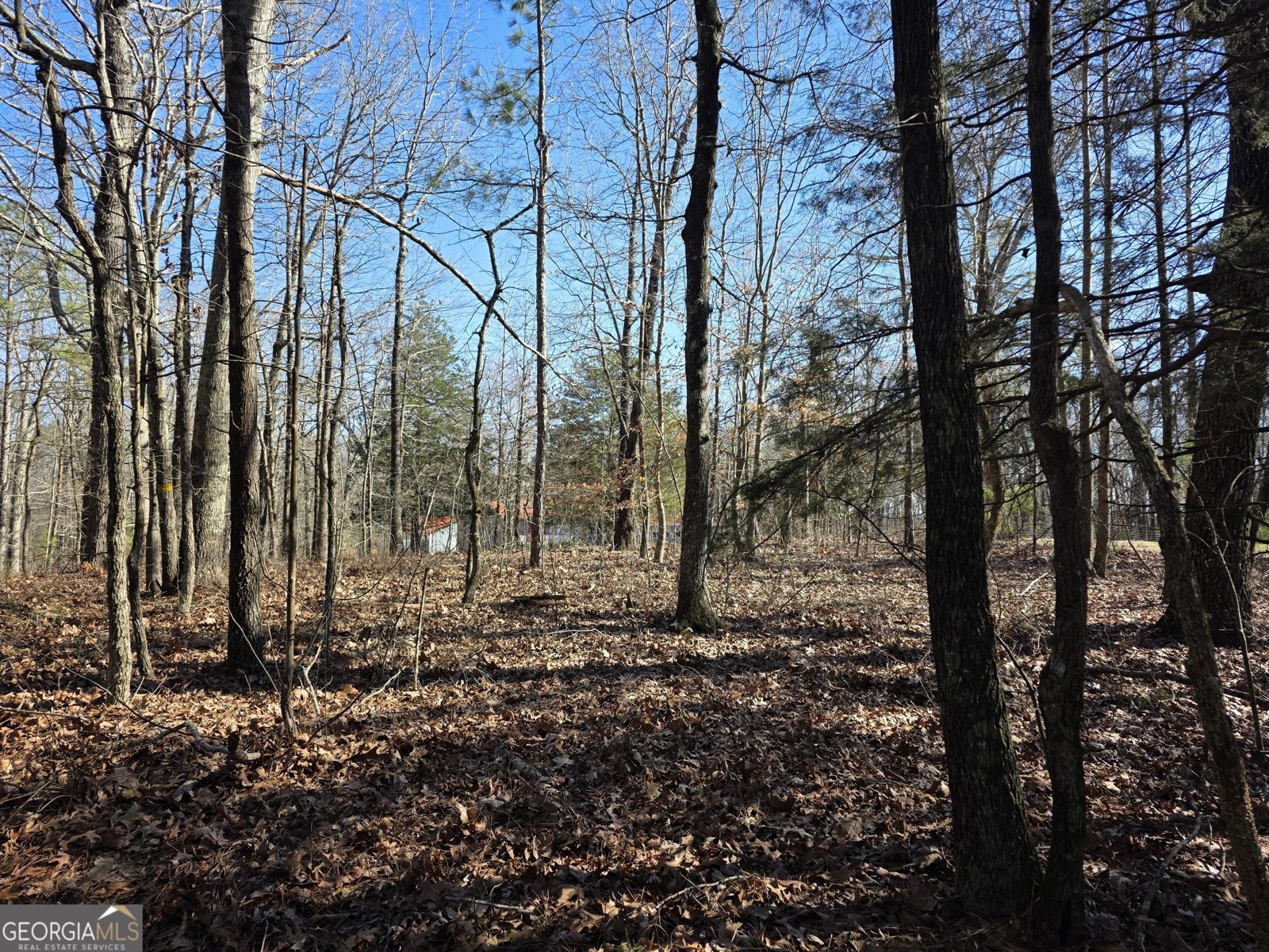 3879 Caney Head Road Franklin - Photo 56