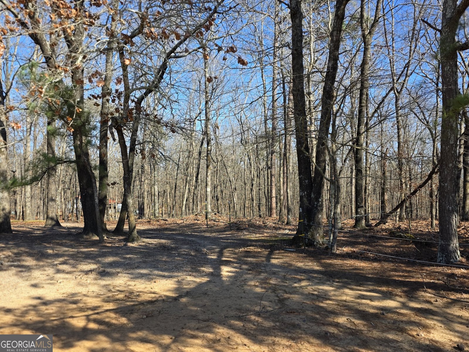 3879 Caney Head Road Franklin - Photo 57