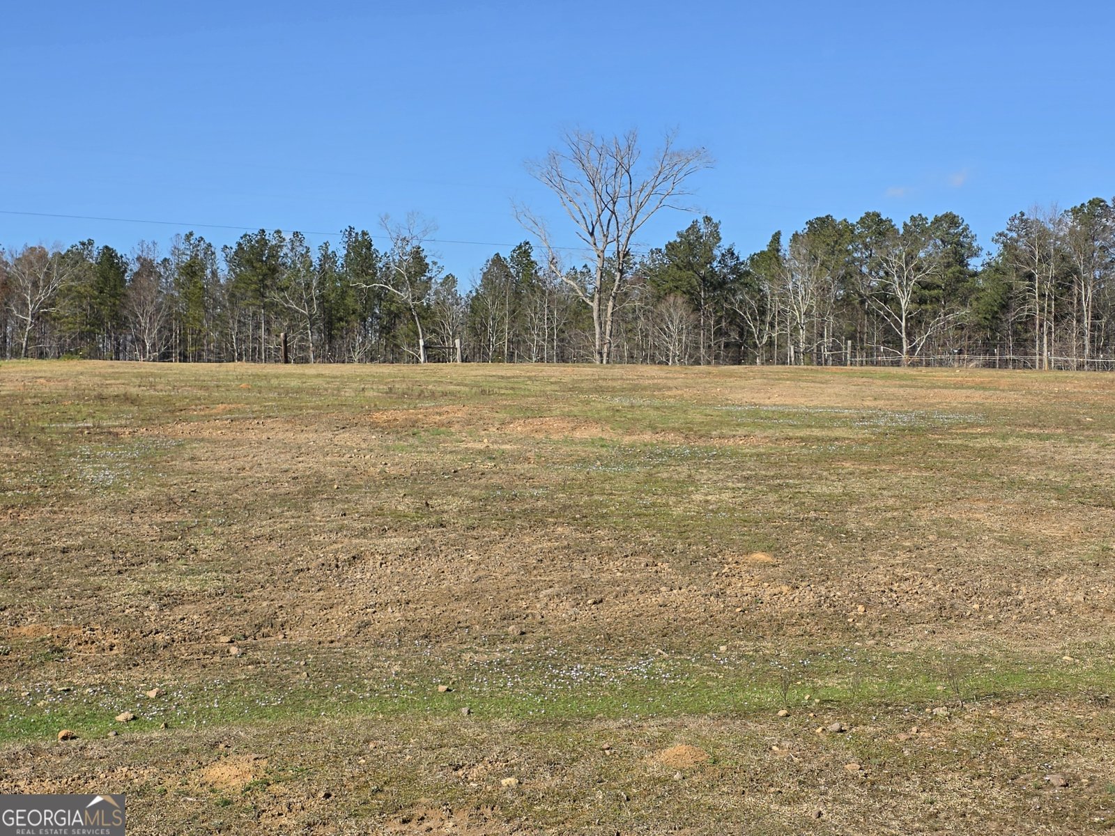 3879 Caney Head Road Franklin - Photo 60