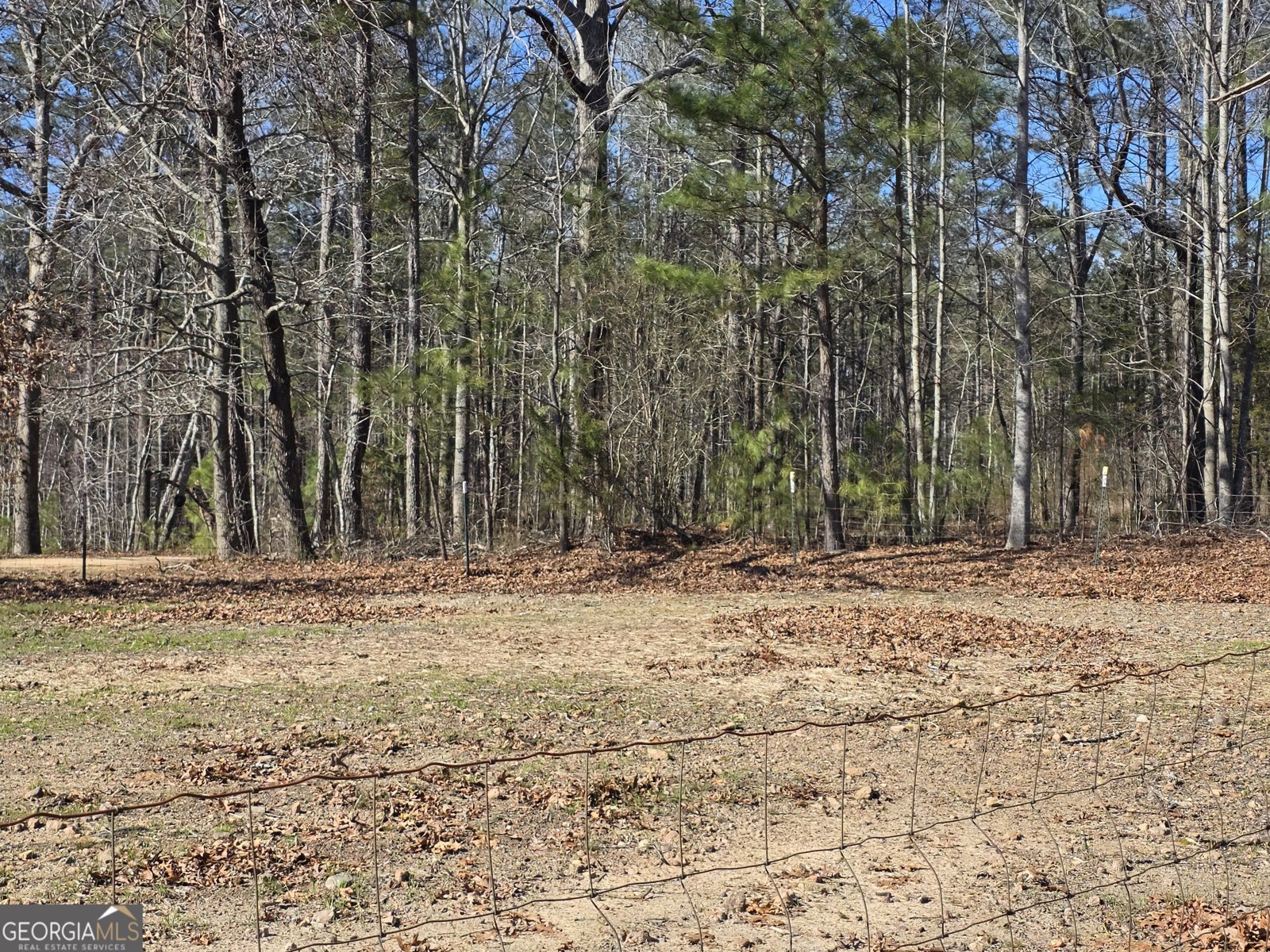 3879 Caney Head Road Franklin - Photo 63