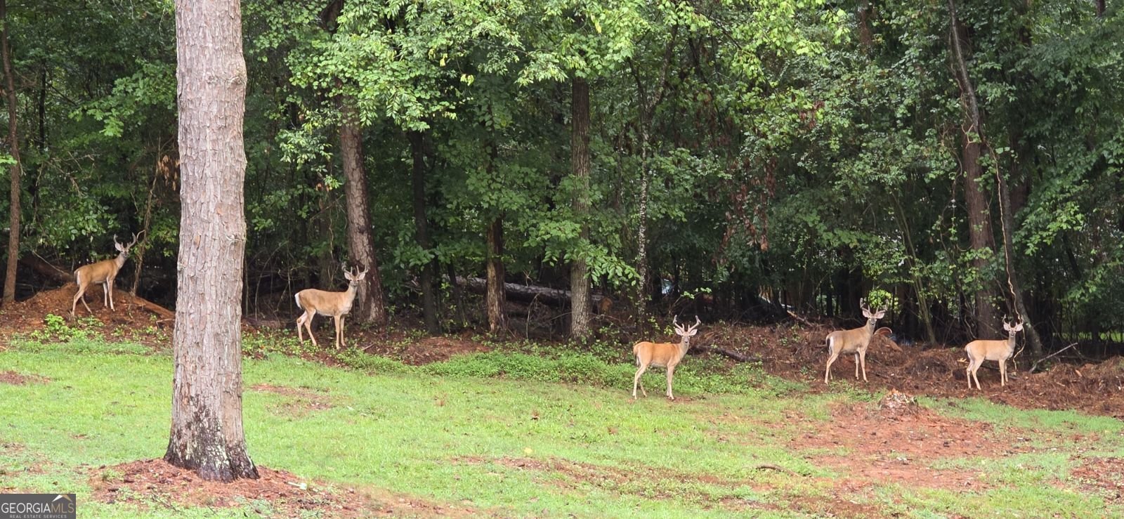 4279 Red Fox Trail Oakwood - Photo 66