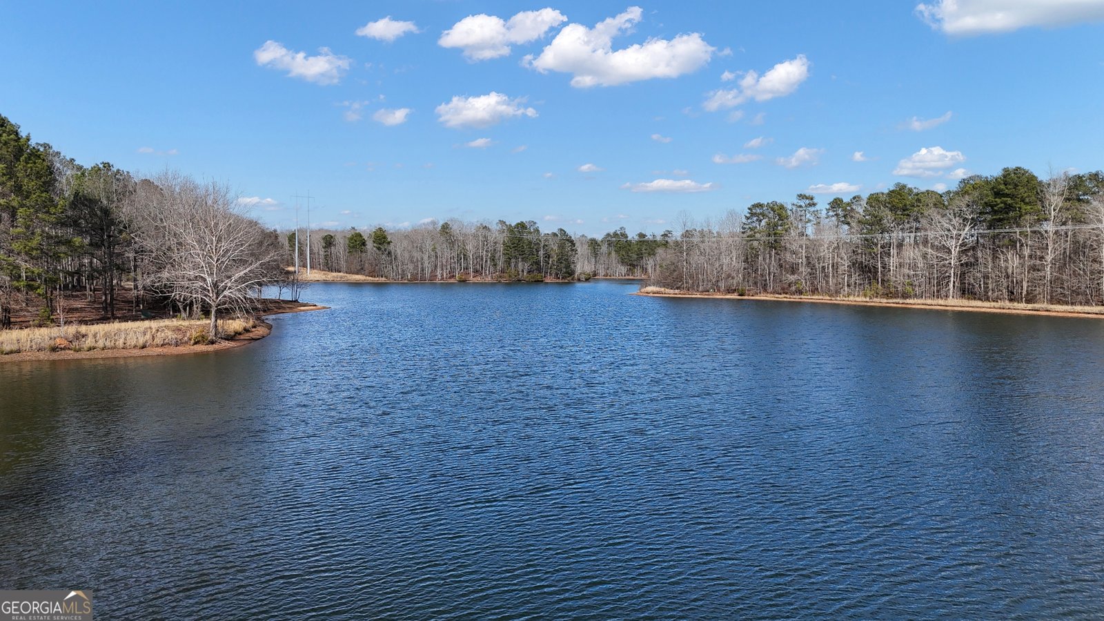 12328 Edgewater Drive Hampton - Photo 96