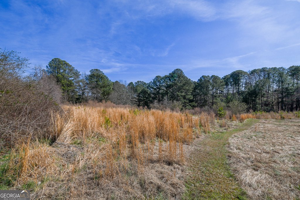 1526 Cronic Town Road Auburn - Photo 10