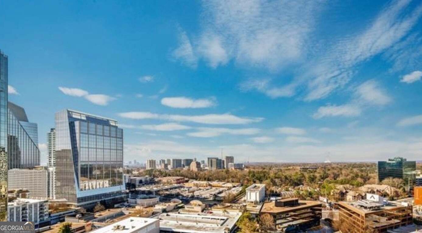 3338 Peachtree Road Atlanta - Photo 17