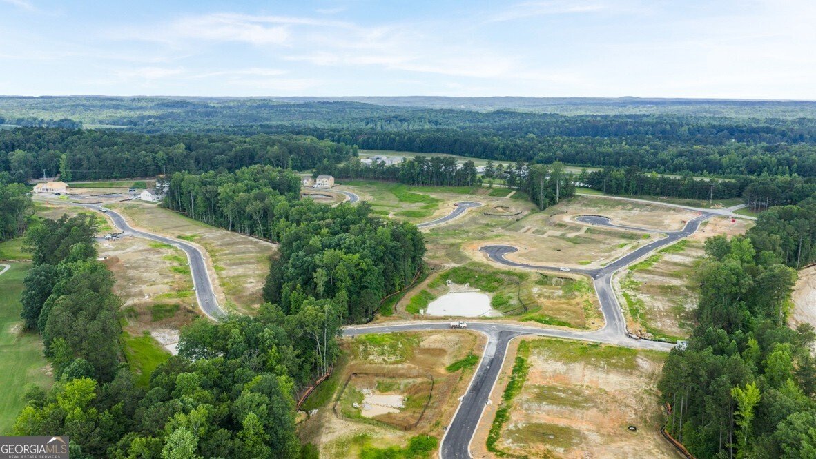 124 Crooked Lake Park Villa Rica - Photo 29