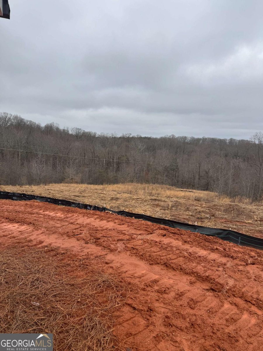 647 Fairview Road Pendergrass - Photo 26