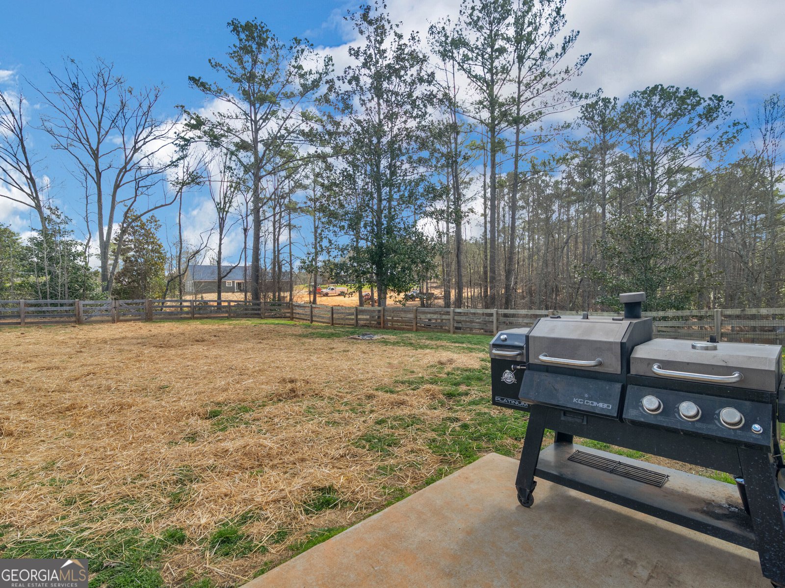 215 Almon Avenue Tallapoosa - Photo 33