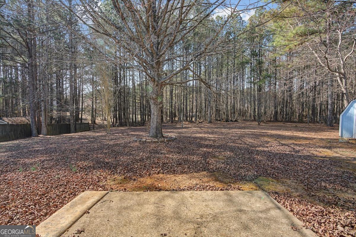 117 Wallace Way Rockmart - Photo 27