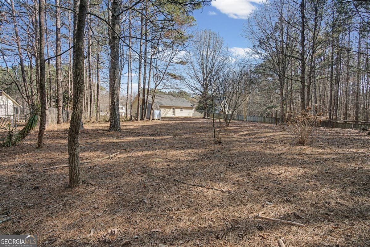 117 Wallace Way Rockmart - Photo 32