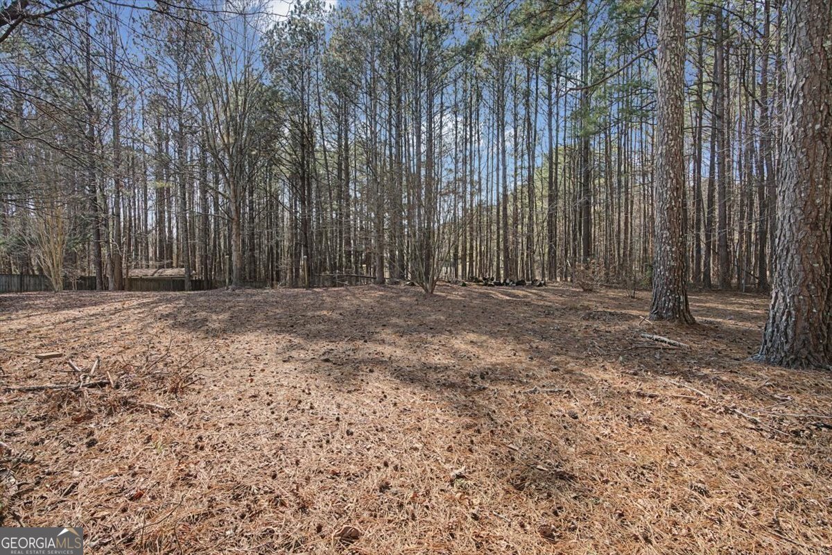 117 Wallace Way Rockmart - Photo 33