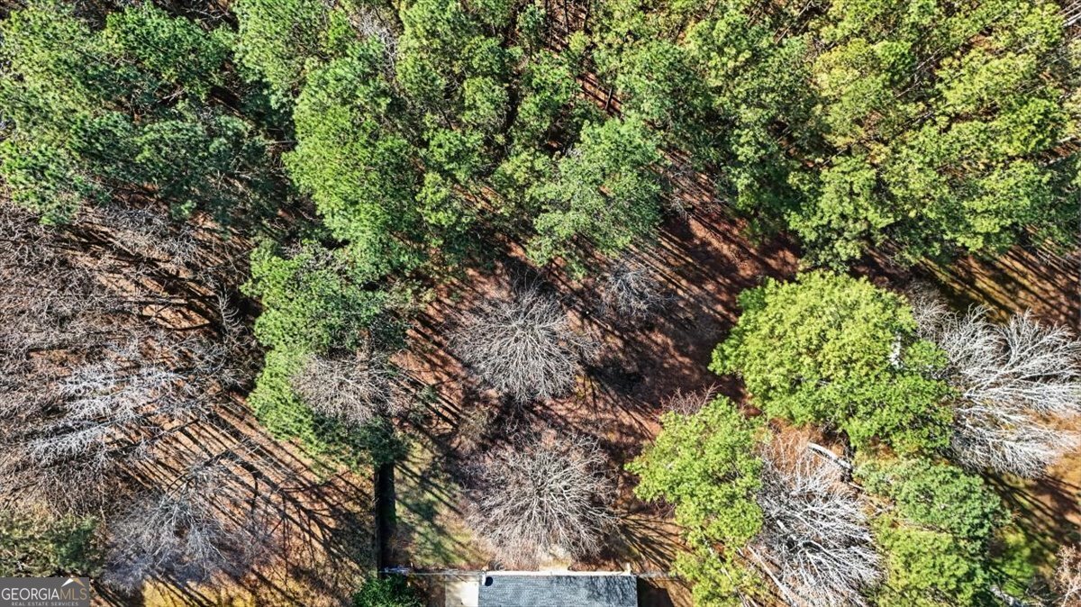 117 Wallace Way Rockmart - Photo 35