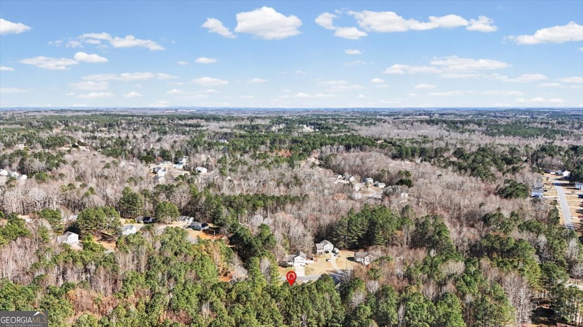 117 Wallace Way Rockmart - Photo 37