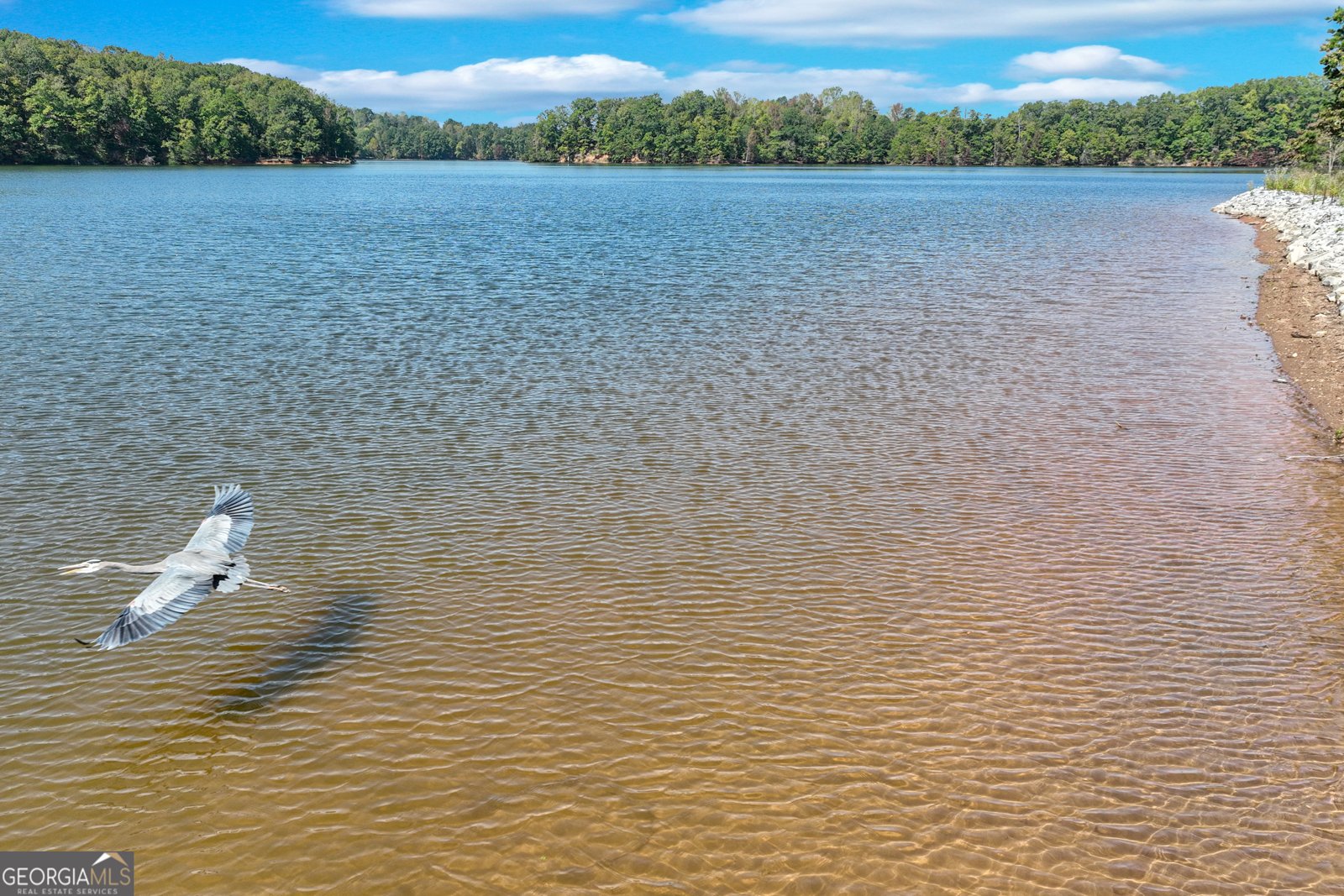 4632A Shirley Road Gainesville - Photo 67