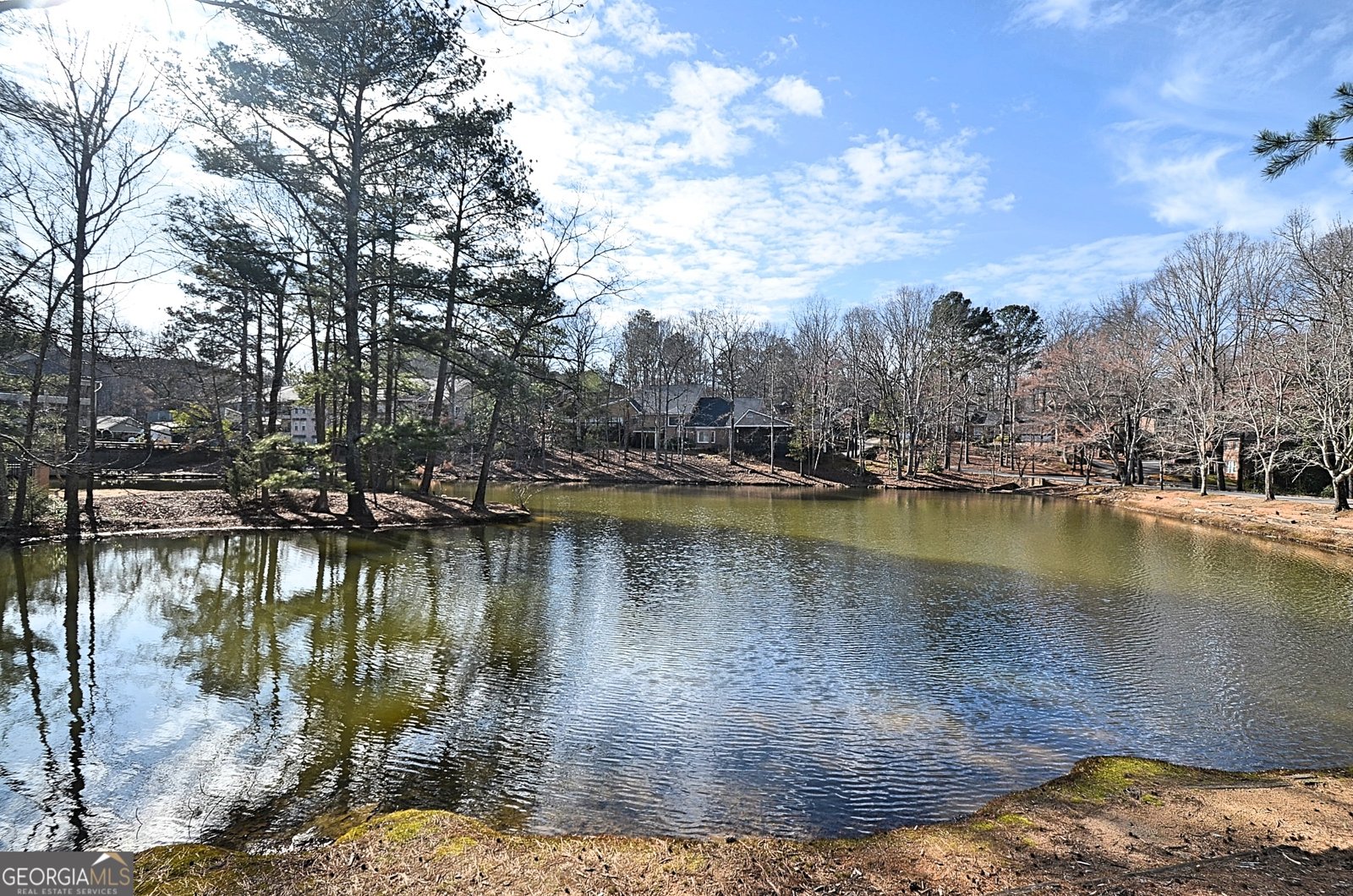 304 Wood Lake Drive Athens - Photo 46