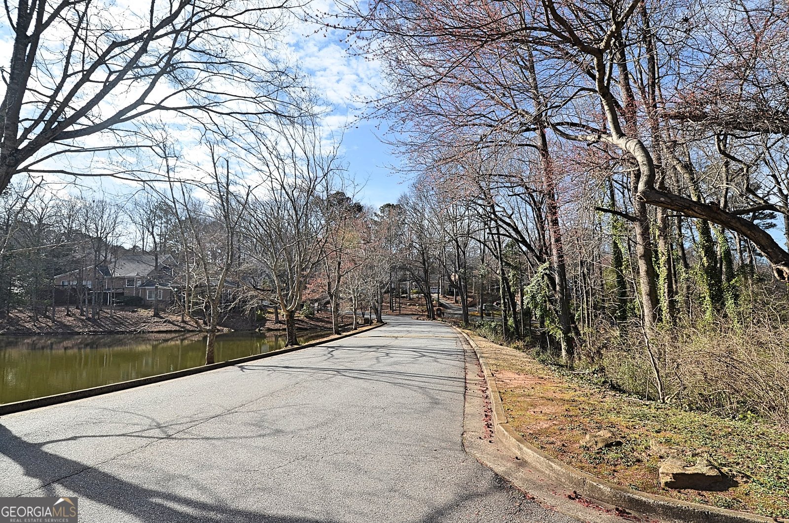 304 Wood Lake Drive Athens - Photo 48