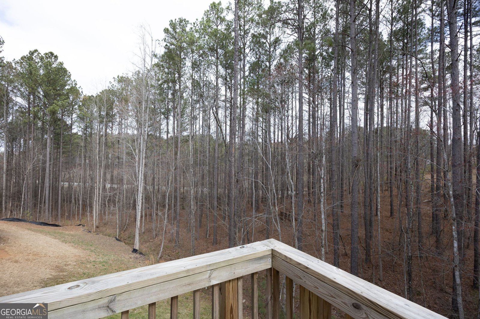 592 Willow Springs Drive Dallas - Photo 38