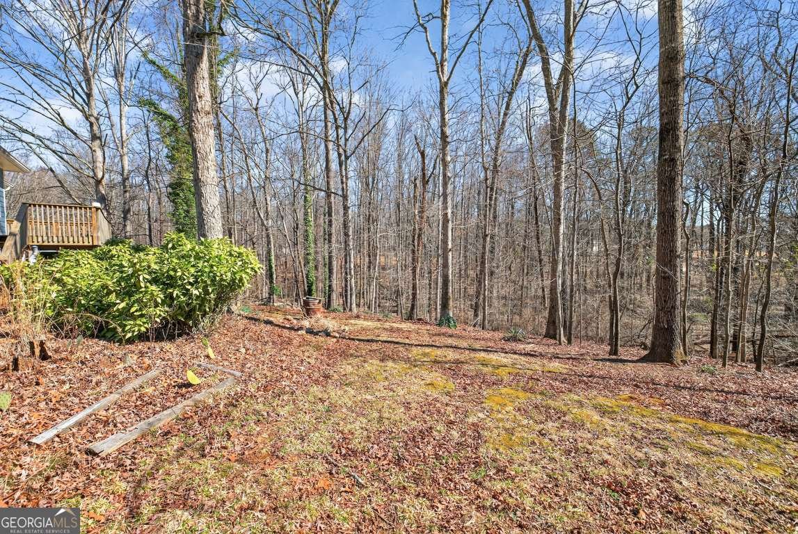 2539 Forestdale Drive Dacula - Photo 49