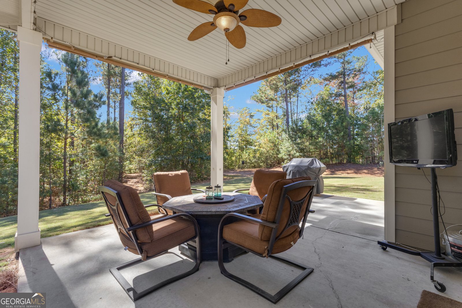 360 Walden Pond Way Senoia - Photo 56