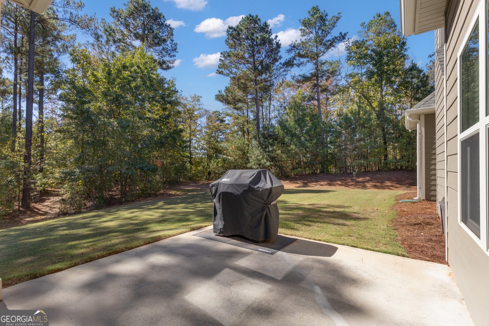 360 Walden Pond Way Senoia - Photo 58