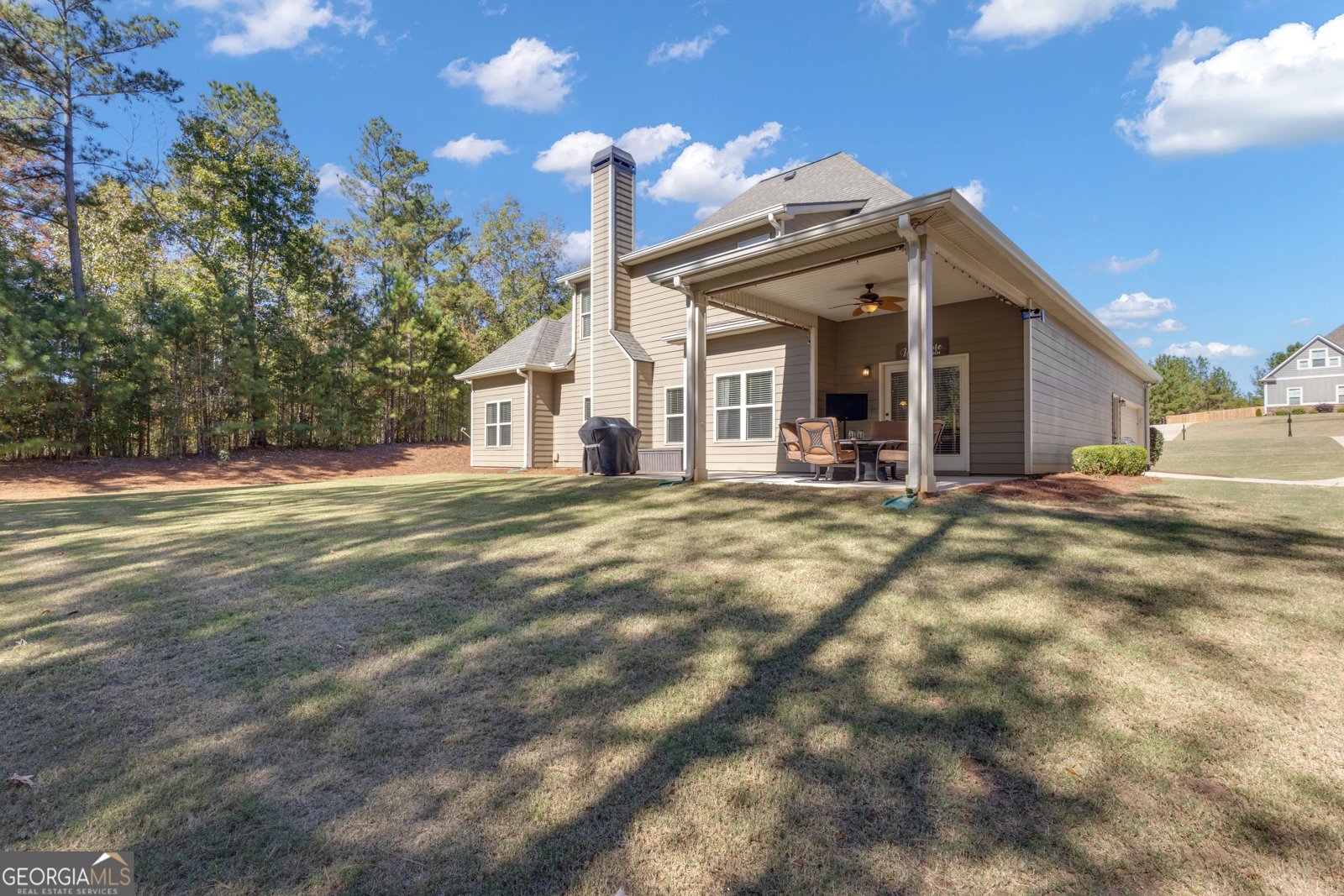 360 Walden Pond Way Senoia - Photo 60