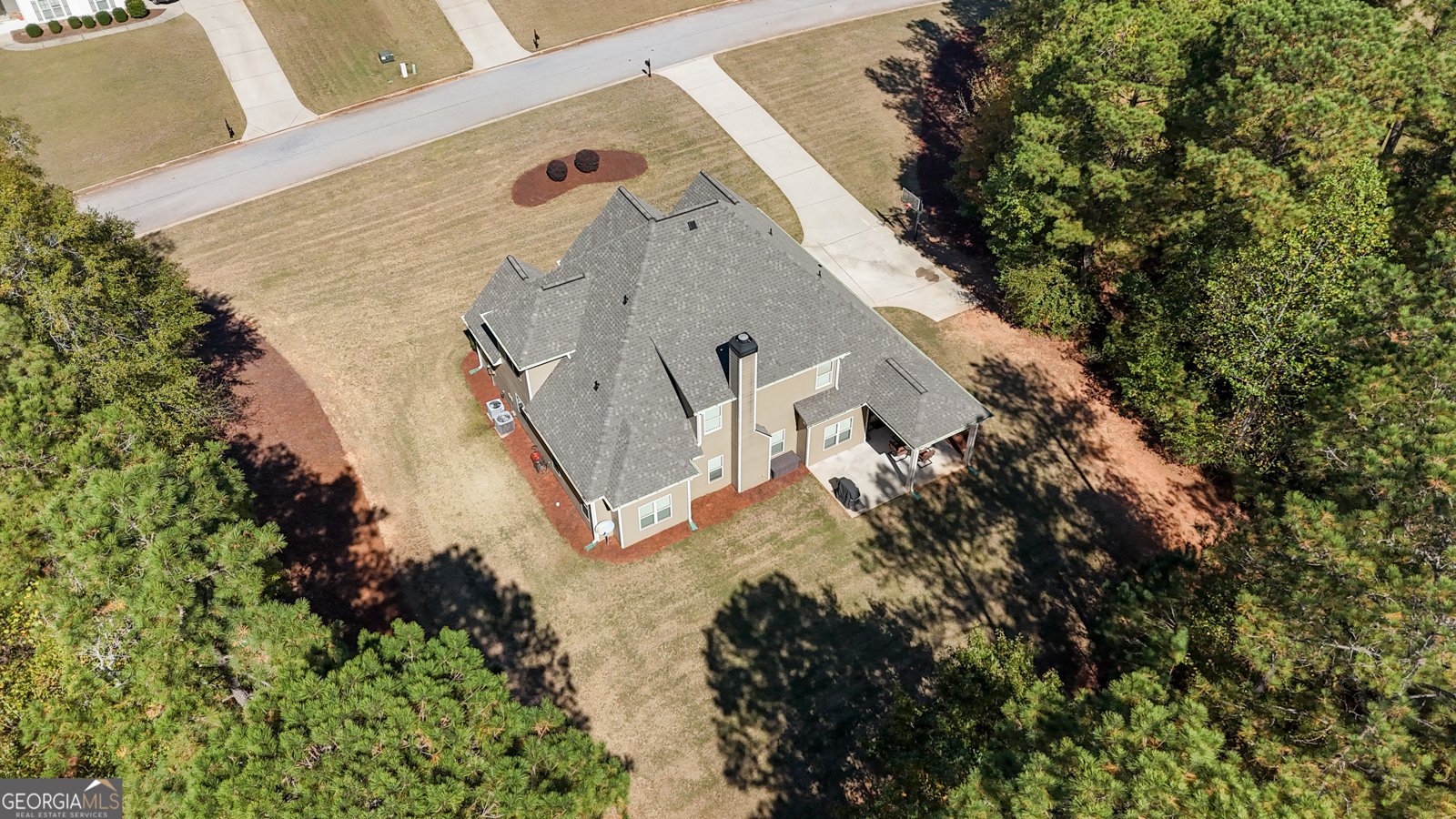 360 Walden Pond Way Senoia - Photo 70