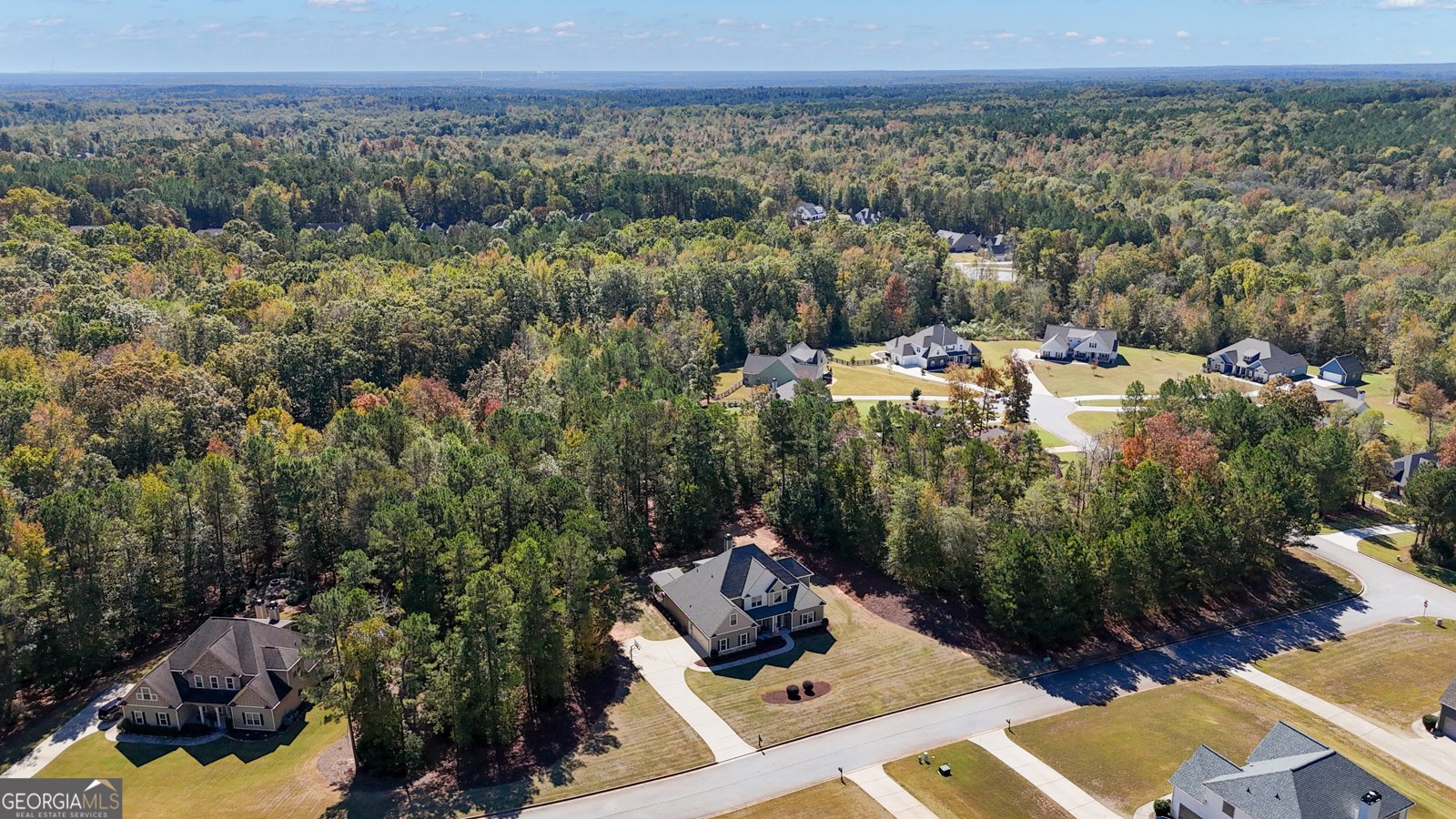 360 Walden Pond Way Senoia - Photo 72