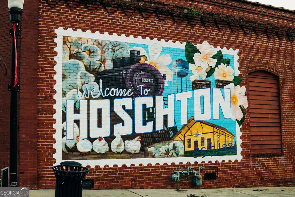 518 Winding Rose Drive Hoschton - Photo 113