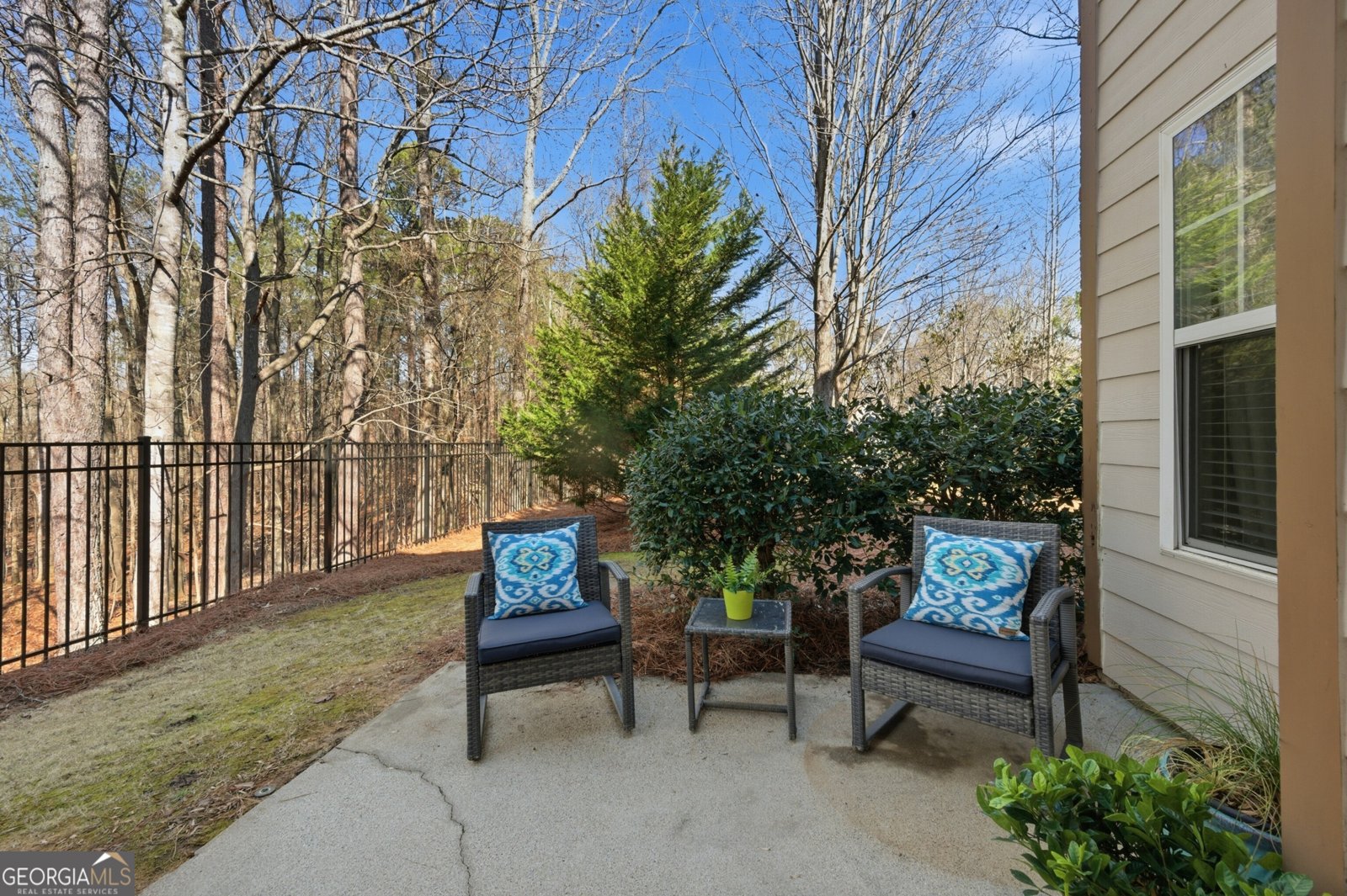 11236 Snowy Owl Lane Alpharetta - Photo 32