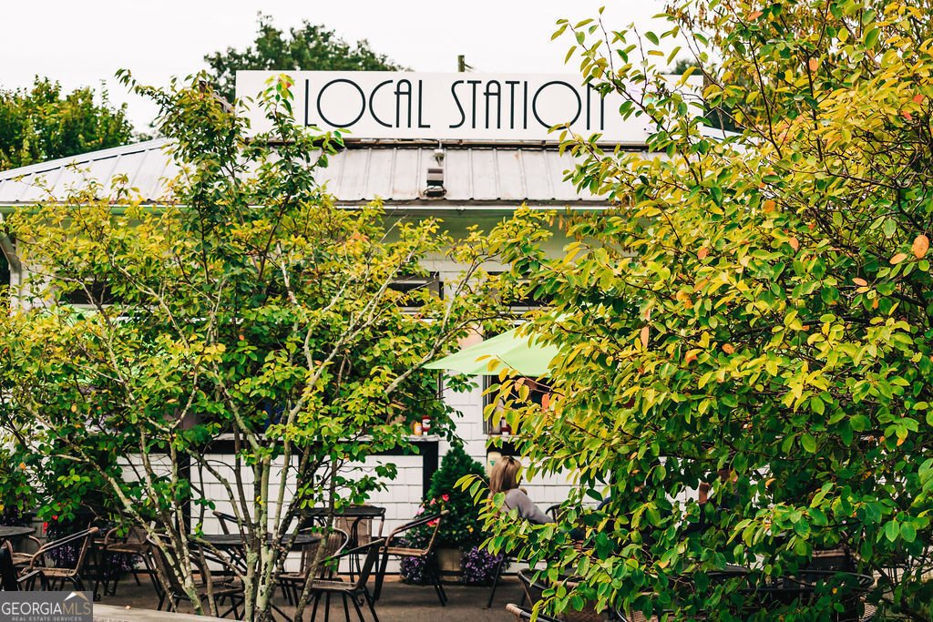 340 Scarlett Rose Way Hoschton - Photo 71