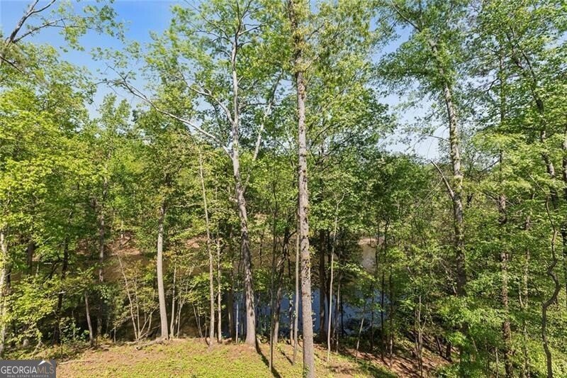 3290 Dunlop Court Atlanta - Photo 63