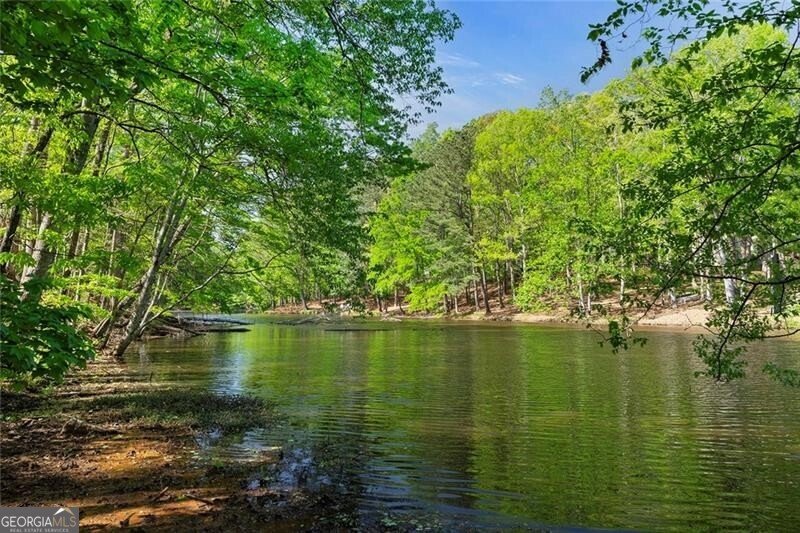 3290 Dunlop Court Atlanta - Photo 73