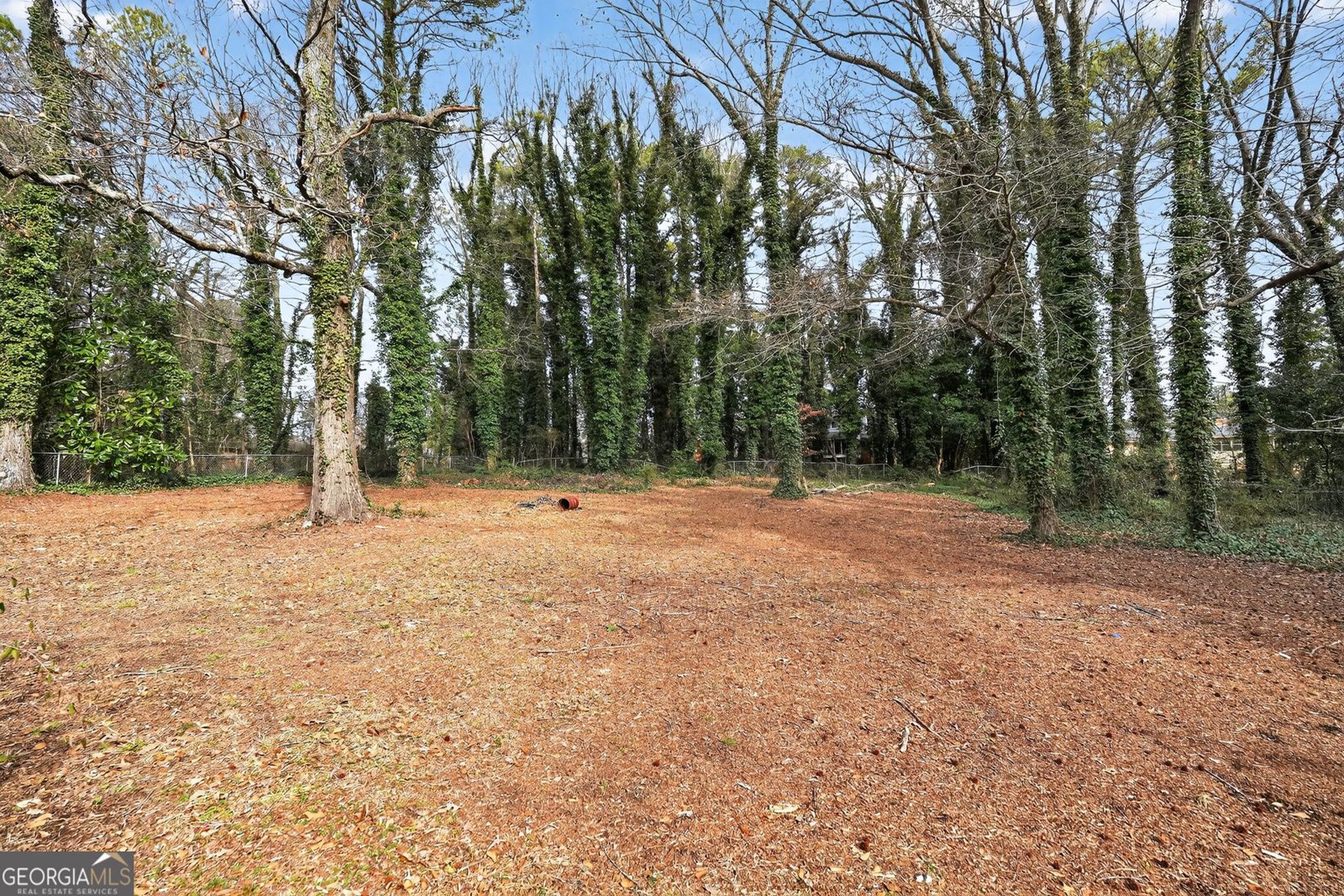 6344 Deshong Drive Lithonia - Photo 6