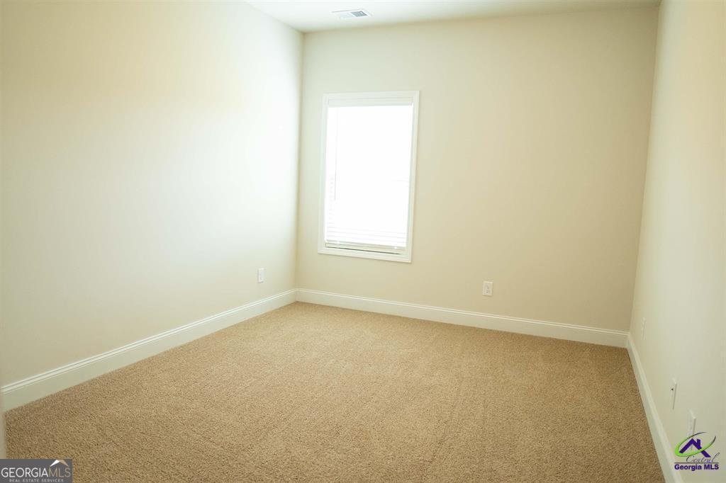 119 Bluecoat Trail Byron - Photo 23