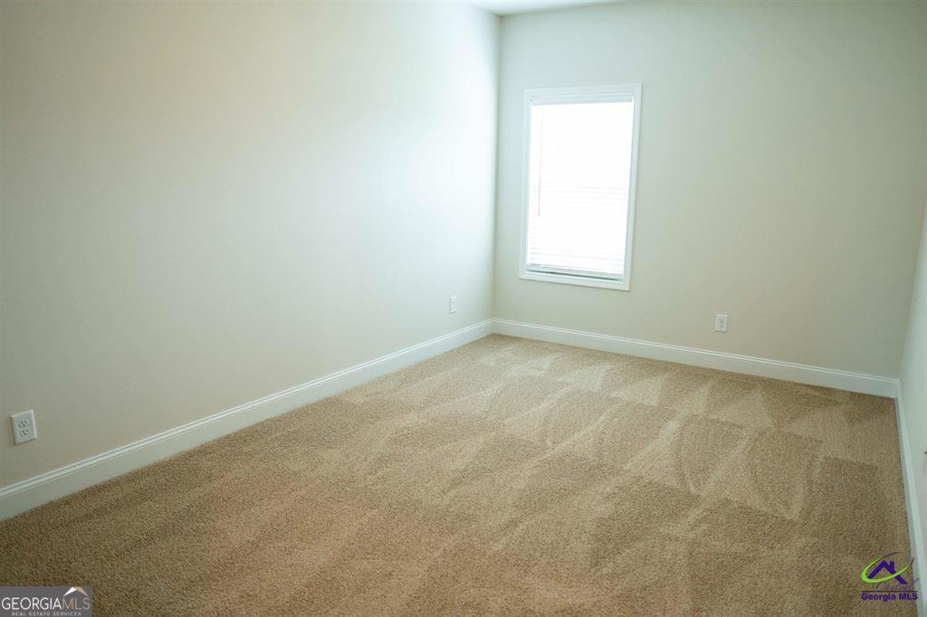 119 Bluecoat Trail Byron - Photo 9