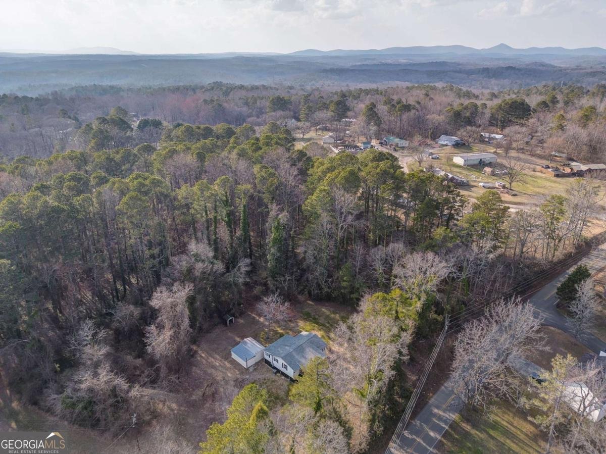 653 Fairview Road Ball Ground - Photo 9