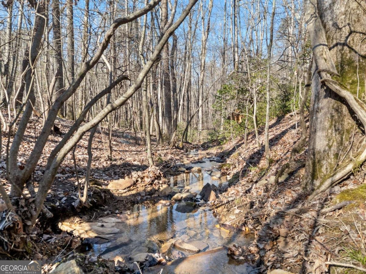 532 VistaView Parkway Jasper - Photo 43