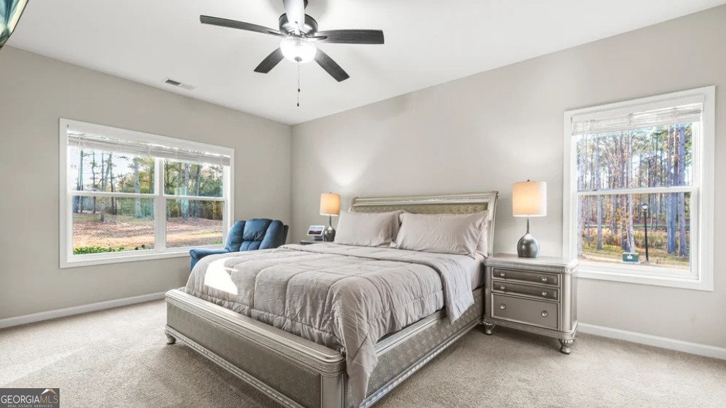 435 Paynes Lake Road Carrollton - Photo 16