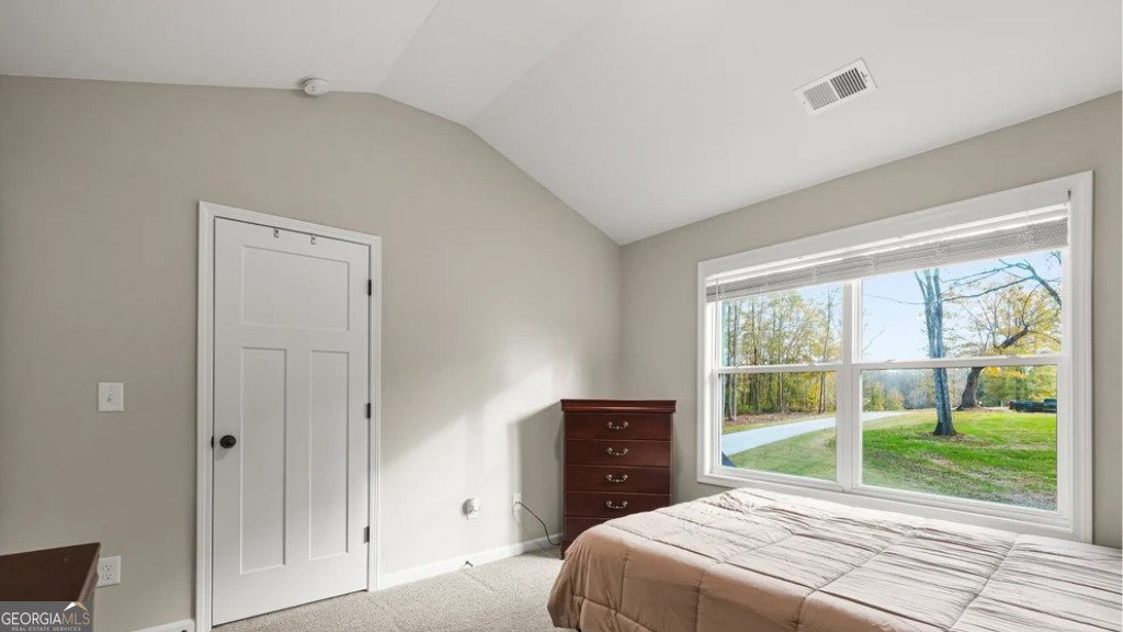 435 Paynes Lake Road Carrollton - Photo 22