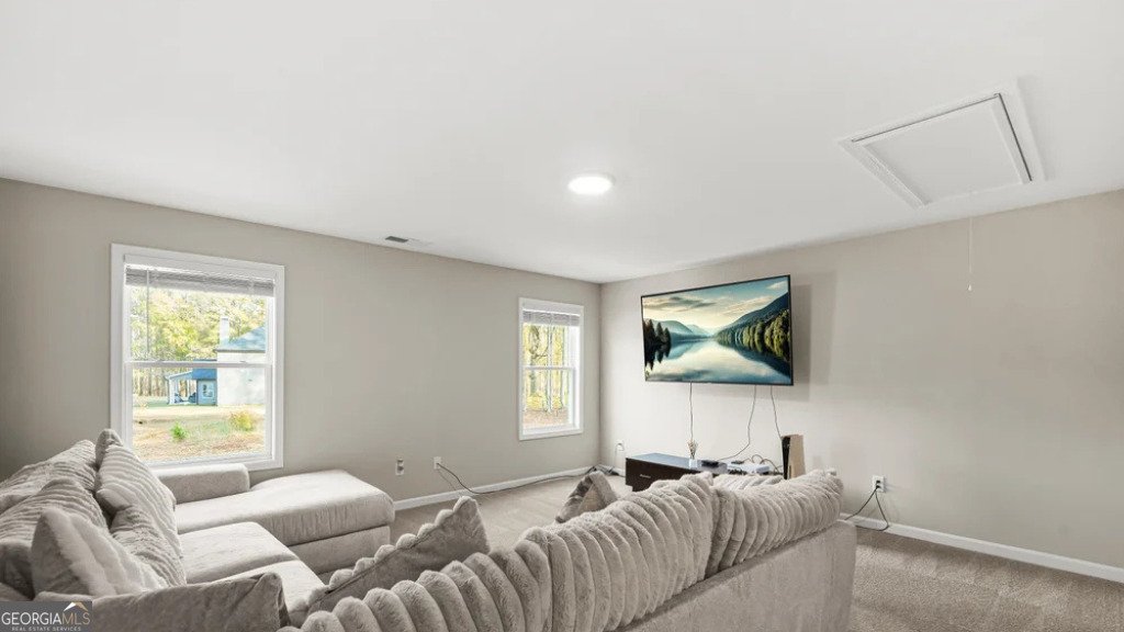 435 Paynes Lake Road Carrollton - Photo 27