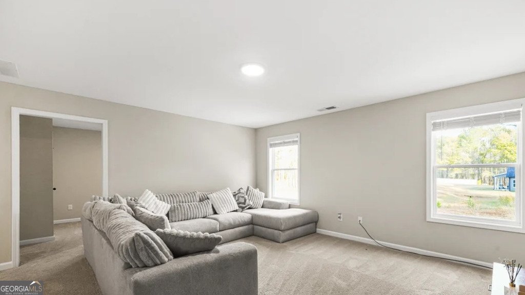 435 Paynes Lake Road Carrollton - Photo 28